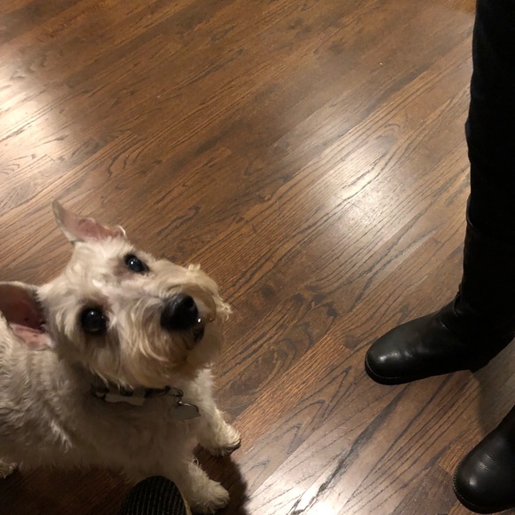 Meet your Posher, Jonathan - Picture 1 of 1